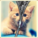 Lock screen puppy APK