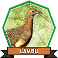 Canto De Lambu
