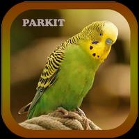 Suara Burung Parkit Offline पोस्टर