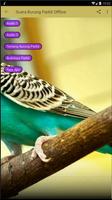 Suara Burung Parkit Offline Screenshot 1