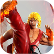 Street Fighting World : Superstar 3D