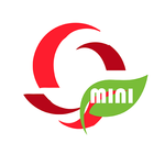 Browser Opera Mini VPN Advice biểu tượng