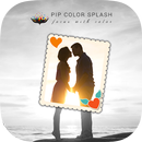 PIP Color Splash-APK