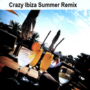 Crazy Ibiza Summer Remix APK