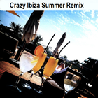 Crazy Ibiza Summer Remix icône