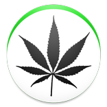 Cannabis Cookbook Lite