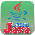 Learn Java Programming icône