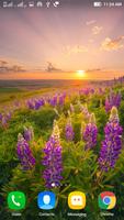برنامه‌نما Wallpapers for Oppo عکس از صفحه