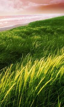Download 3d Grass Hd Live Wallpaper Apk For Android Latest Version