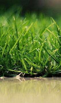 Download 3d Grass Hd Live Wallpaper Apk For Android Latest Version