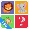 Memory Kids Pro