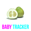 Pregnancy Calculator Tracker