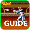 Guide For The Punisher APK