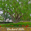 Orchard Hills Homes APK