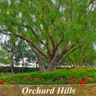 Orchard Hills Homes icône
