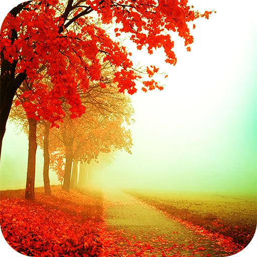 Autumn Live Wallpaper