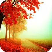 Autumn Live Wallpaper