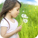Dandelion Girl Live Wallpaper APK