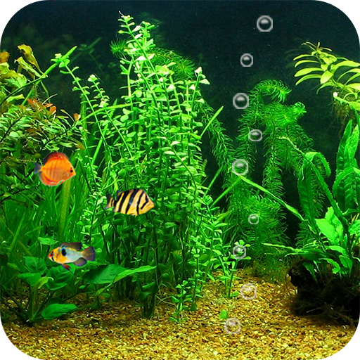 Аквариум Live Wallpaper HD