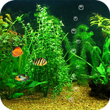 Aquarium Live Wallpaper HD