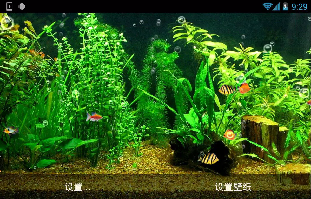 Android 用の 水族館ライブ壁紙hd Apk をダウンロード