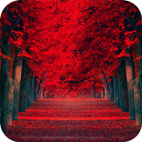 Red Leaves Live WallPaper