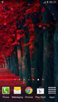 برنامه‌نما Red Leaves عکس از صفحه