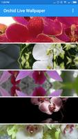 Orchid Live Wallpaper скриншот 1