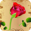 Rose Live Wallpaper