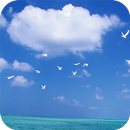 Sea Live Wallpapers APK