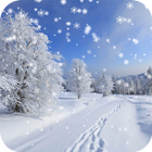 Winter Snow icon