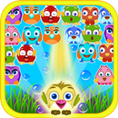 鳥が撮影し、ポップ APK