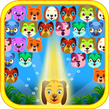 Cute Dogs Bubble Shooter