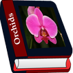 Orchidaceae