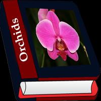 Orchidaceae-poster