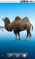 Camel Sticker 截图 2