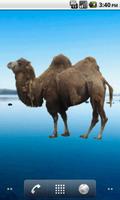 Camel Sticker capture d'écran 2