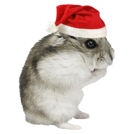 Christmas Hamster Sticker