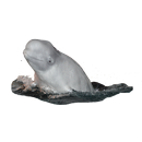Beluga Sticker-APK