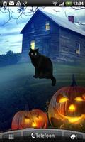 Poster Black Cat Sticker