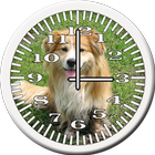 Dog 7 Collie Analog Clock-icoon