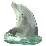 ”Dolphin Sticker