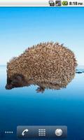 3 Schermata Hedgehog Sticker