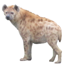 Hyena Sticker APK
