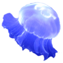 Jellyfish Sticker APK