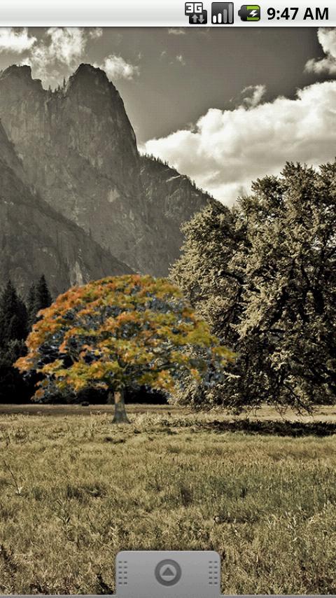 Oak Tree Fall Sticker For Android Apk Download Tree Oak Roblox Tree Oak Roblox Oak Tree Fall Sticker For Android Apk Download