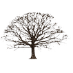 Oak Tree Winter Sticker