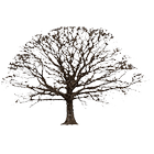 Oak Tree Winter Sticker আইকন