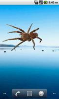 Spider Tarantula Sticker 截图 1