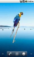 Parrot Blue Sticker imagem de tela 2